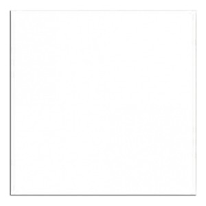 Azulejo Blanco 15x15 Pack X 10 B.oli