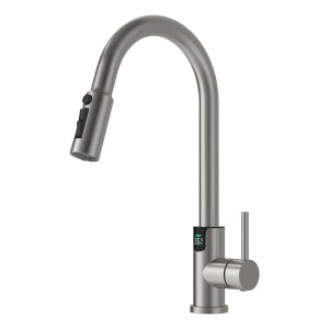 Monocomando Para Filtro De Mesada Digital Satinado Inox. 304