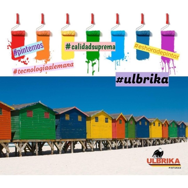 Pintura Color Ulbrika Pop Plus 4 Lts. - Imagen 23