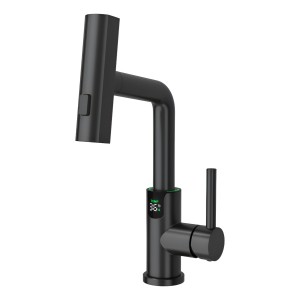 Monocomando Digital Extensible 3 Modos Negro Inoxidable 304