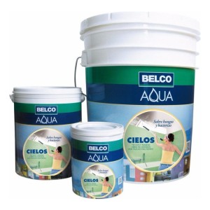 Pintura Cielo Raso Directo Sobre Hongos Y Aqua Cielos 18lts