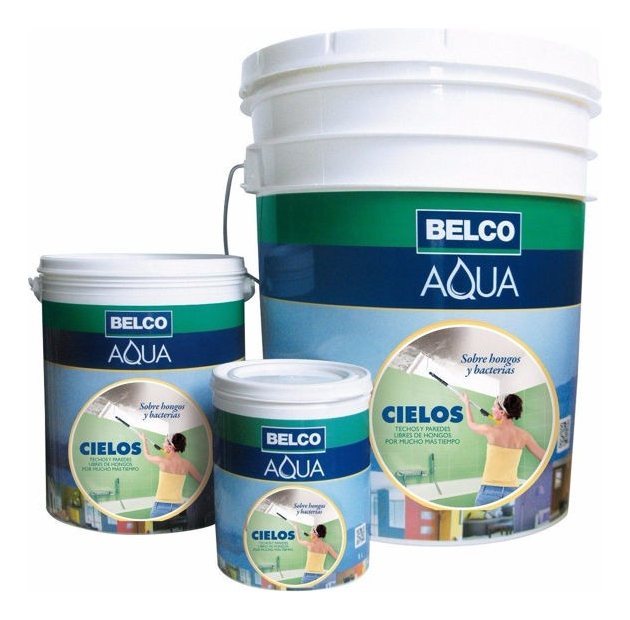 Pintura Cielo Raso Directo Sobre Hongos Y Aqua Cielos 18lts