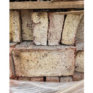 Ladrillo Plateado Campo Pack X 10