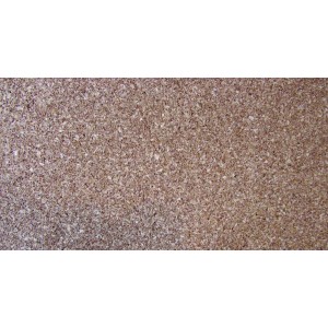 Hoja De Corcho Aglomerado En Plancha 1,5mm-0.62*0.92mt C/u