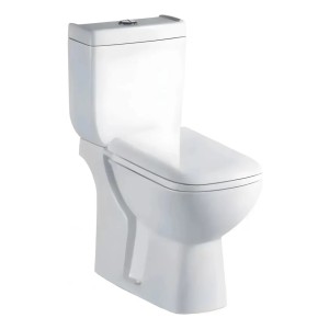 Inodoro Alto Con Mochila Y Tapa Zoe Rhodas