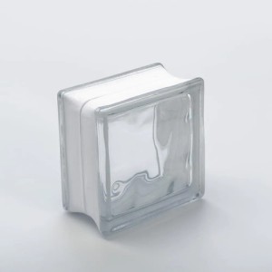 Pack 5 Ladrillos De Vidrio