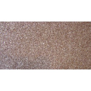 Hoja De Corcho Aglomerado En Plancha 1,5mm-0.62*0.92mt C/u